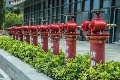 海参礼盒 精品礼盒 虾米 紫菜 腌制品批发招商