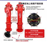 海参礼盒 精品礼盒 虾米 紫菜 腌制品批发招商